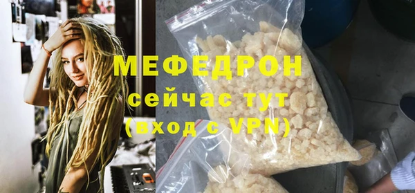 шишки Надым